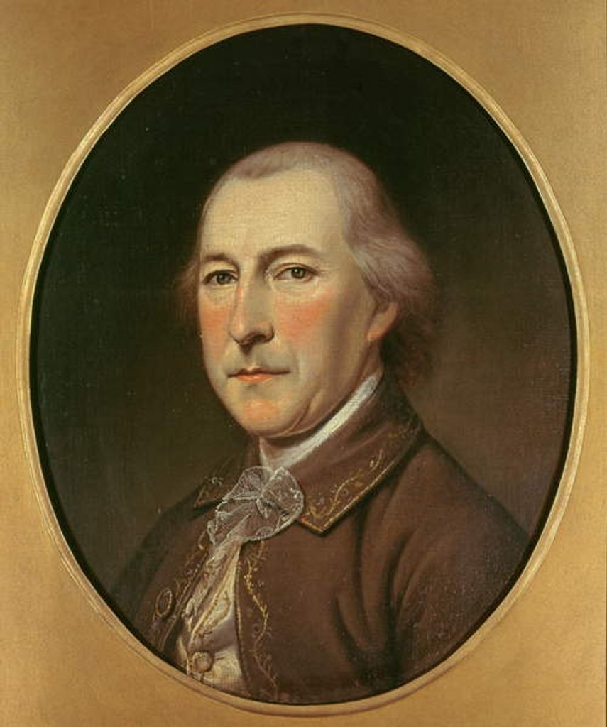 Detail of Pieter Johan van Berckel 1783-84 by Charles Willson Peale