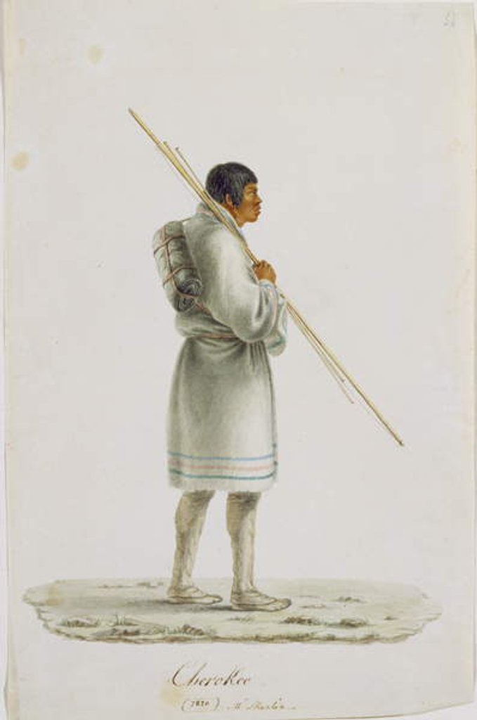 Detail of Cherokee, 1820 by Anne Marguerite Hyde de Neuville
