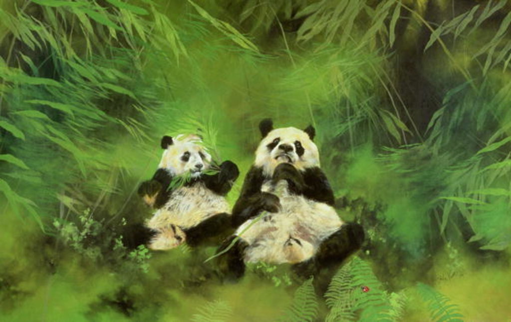 Detail of Pandas, 1998 by Odile Kidd
