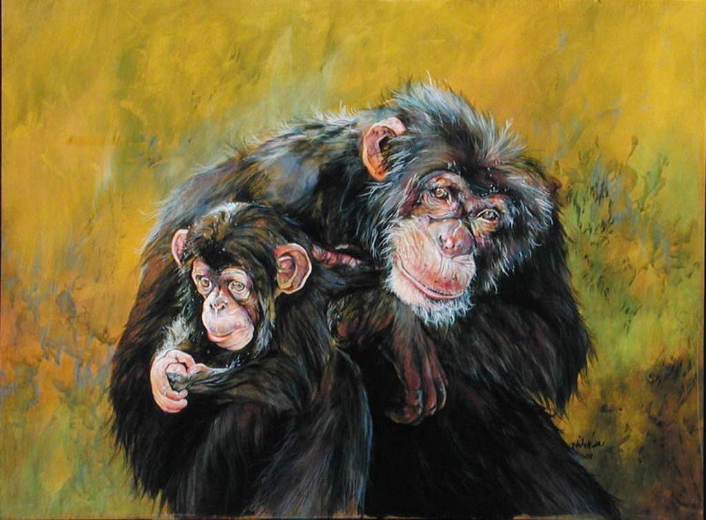 Detail of Chimpanzees by Odile Kidd