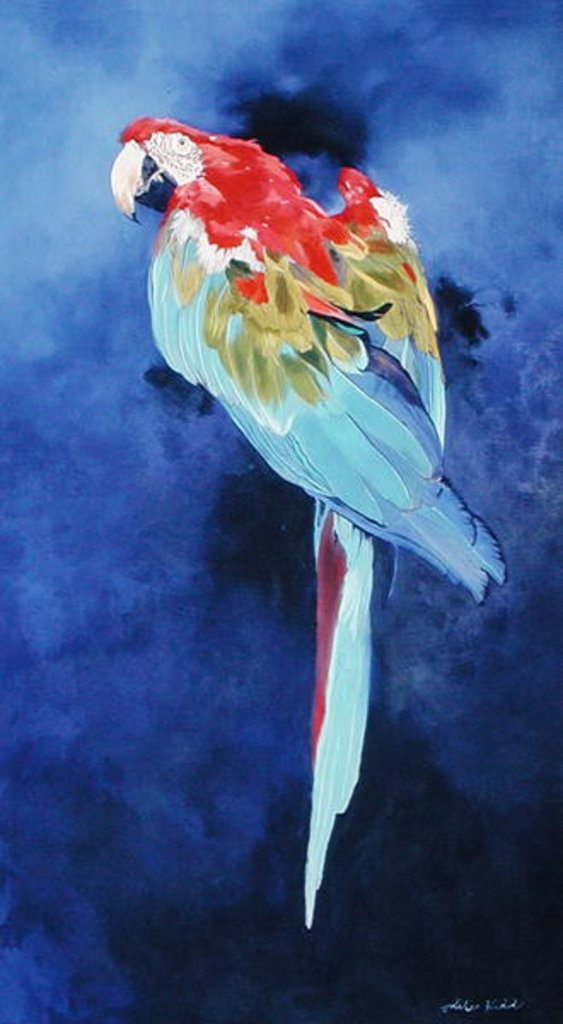 Detail of Red and Blue Macaw, 2002 by Odile Kidd