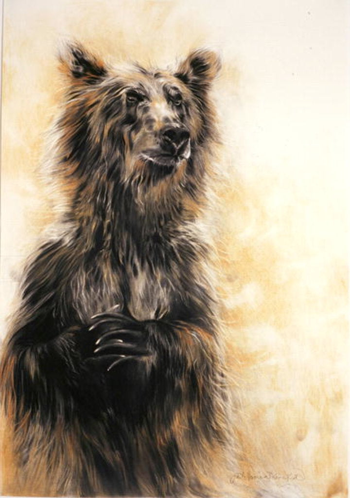 Detail of Grizzly Bear 1, 2002 by Odile Kidd