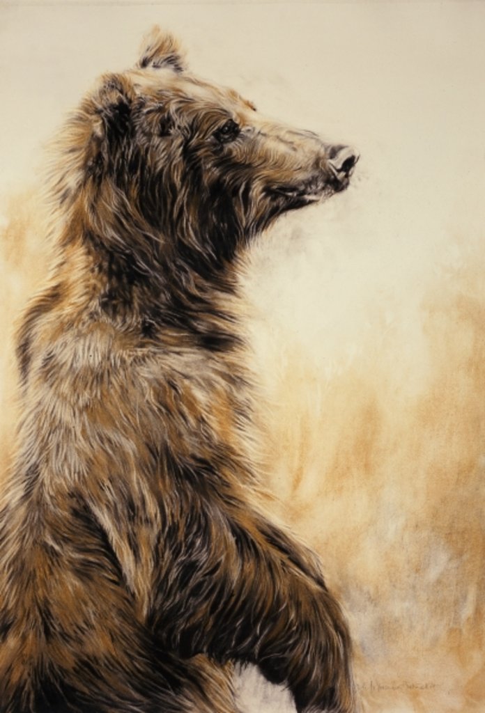 Detail of Grizzly Bear 2, 2002 by Odile Kidd