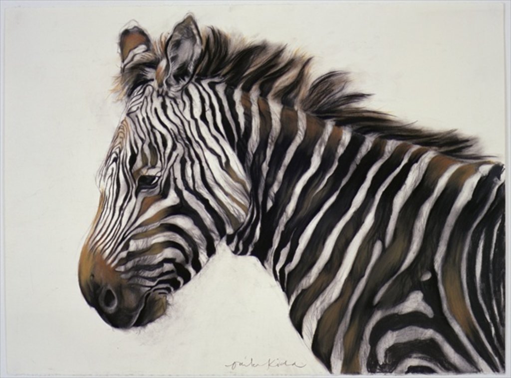 Detail of Zebra, 2002 by Odile Kidd