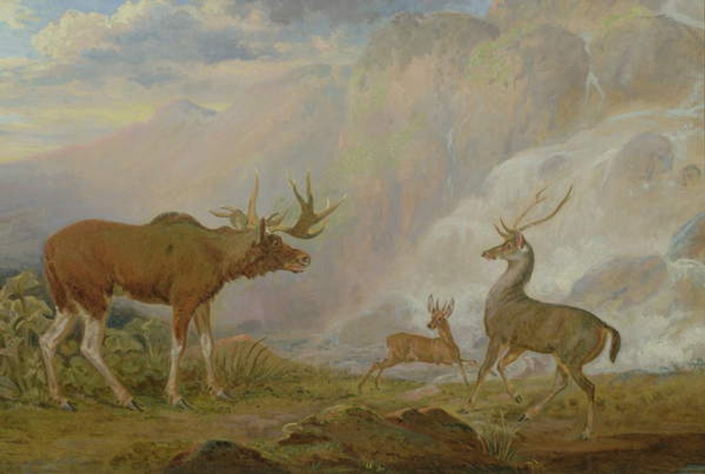 Detail of Earl of Orford's Elk, Antelope and Stag by George Garrard