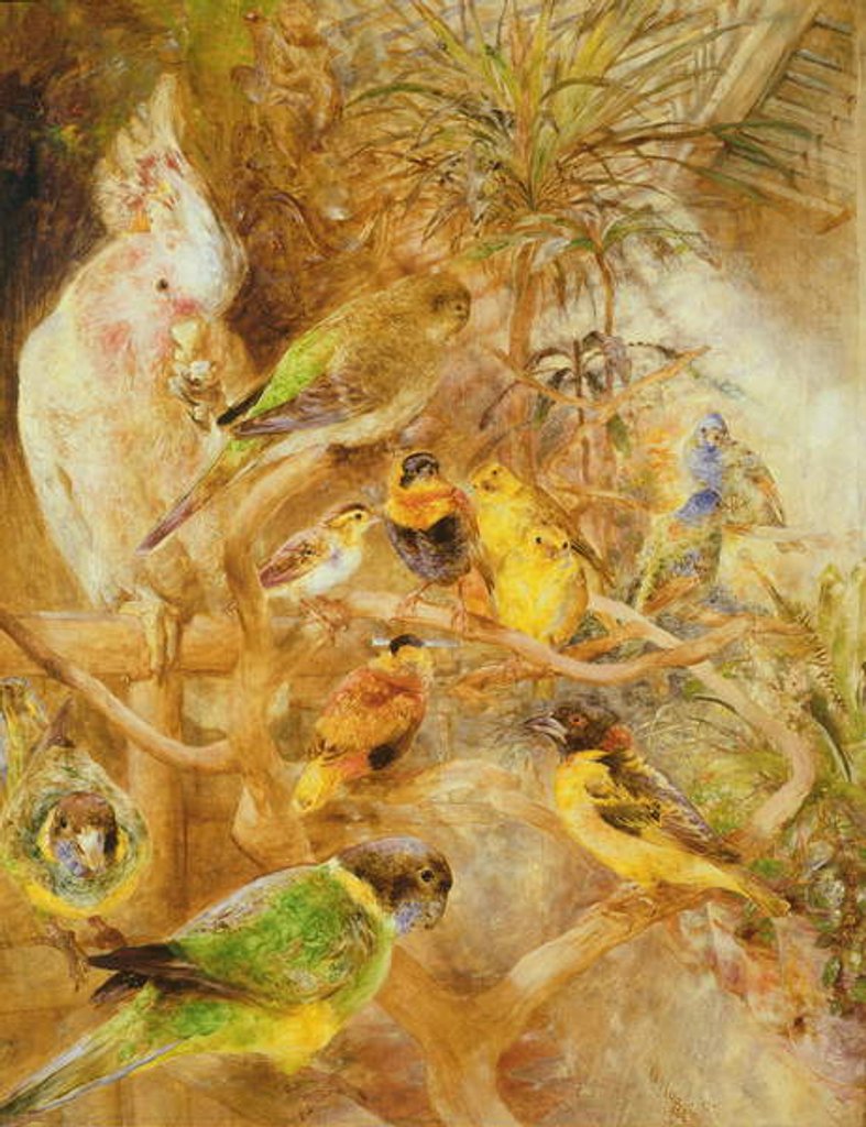 Detail of Bird Aviary, 1871 by William Huggins
