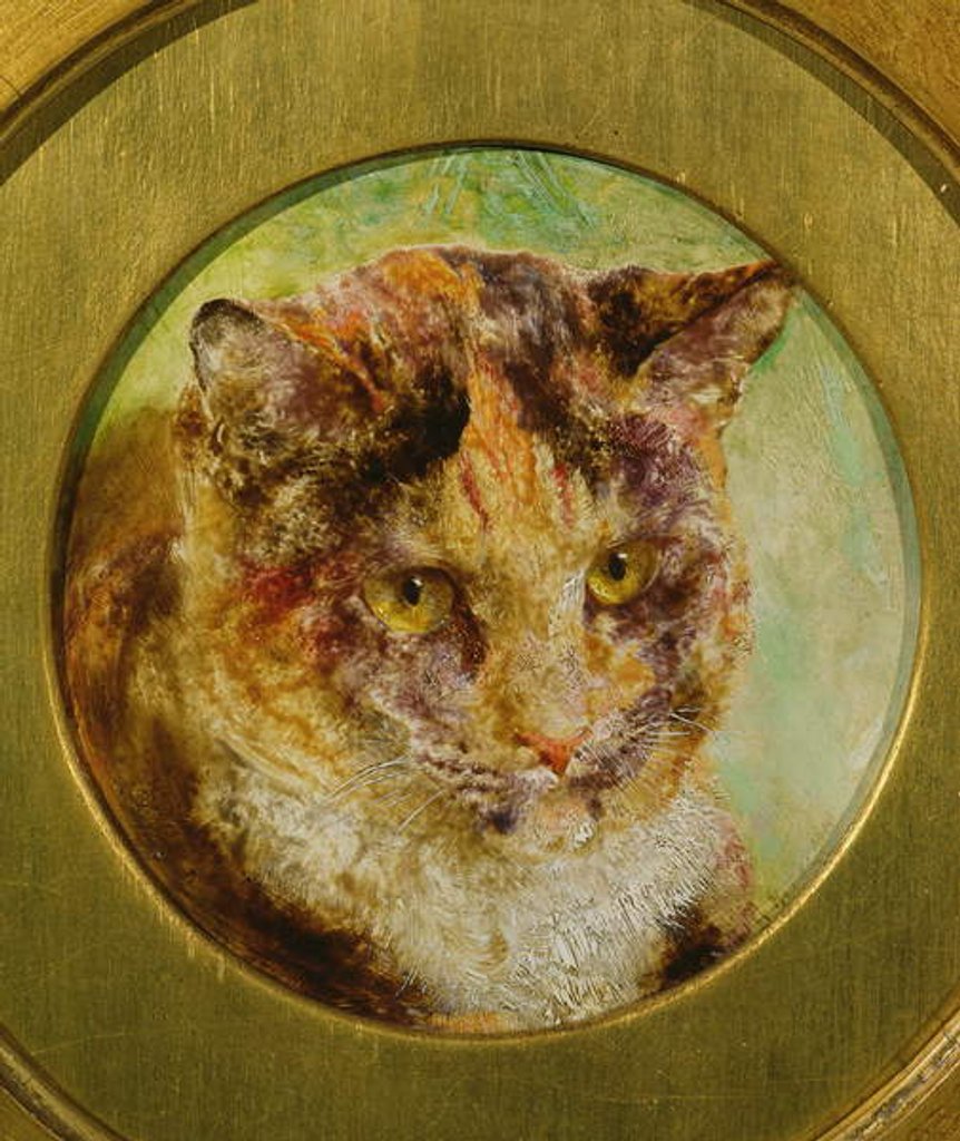 Detail of Study of a Tortoiseshell Cat by William Huggins