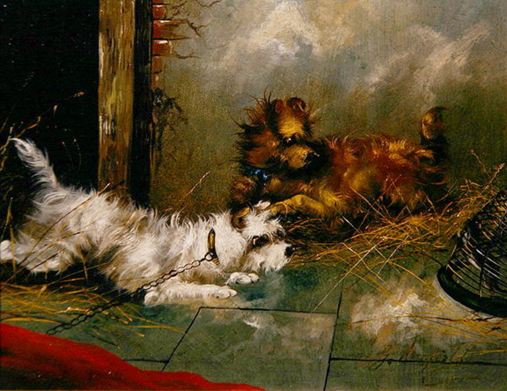Detail of Terriers Playing by George Armfield