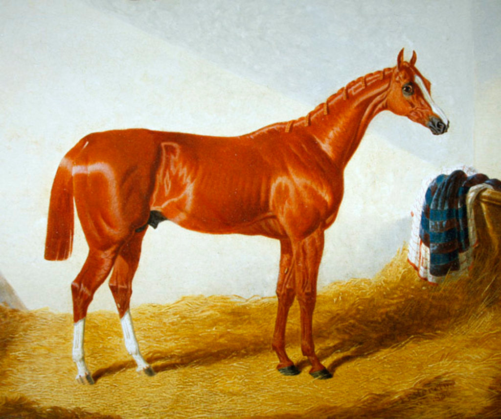 Detail of Elis, 1836 by John Frederick Herring Snr