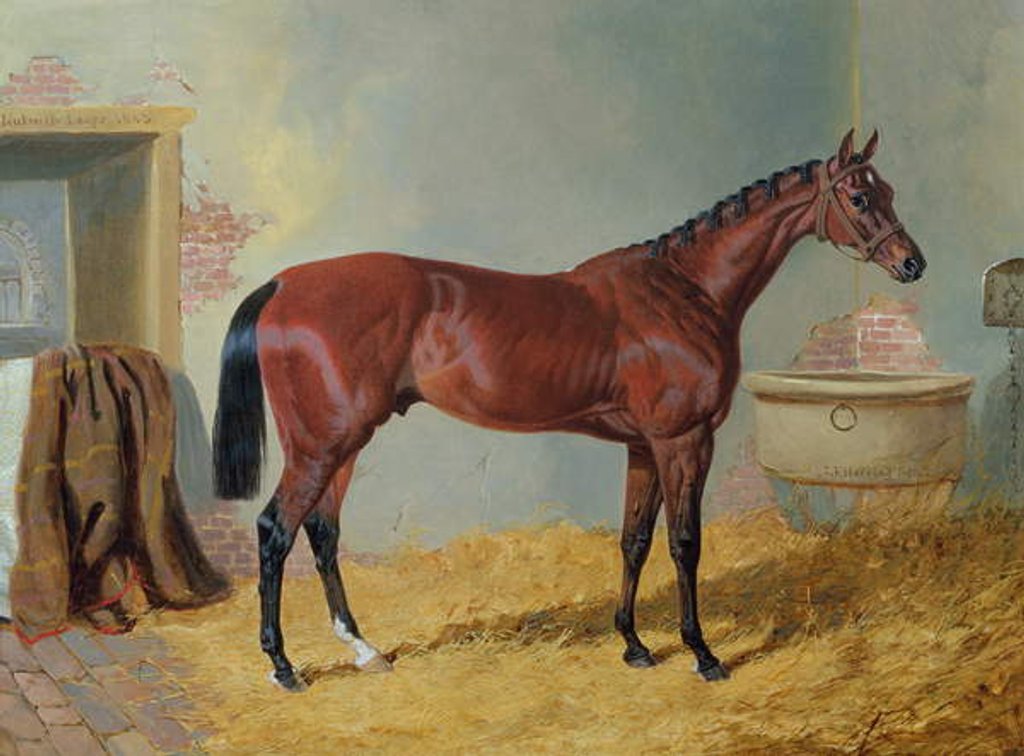 Detail of Mr S. Wrather's 'Nutwith' in a stable by John Frederick Herring Snr