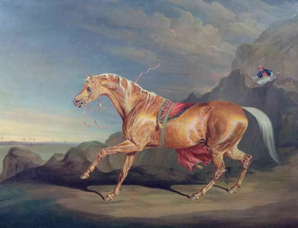 Detail of Mr Alfred Bonar's Arabian, Dare Devil by James Ward