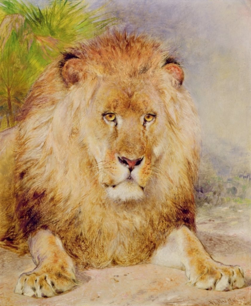 Detail of Lion by William Huggins
