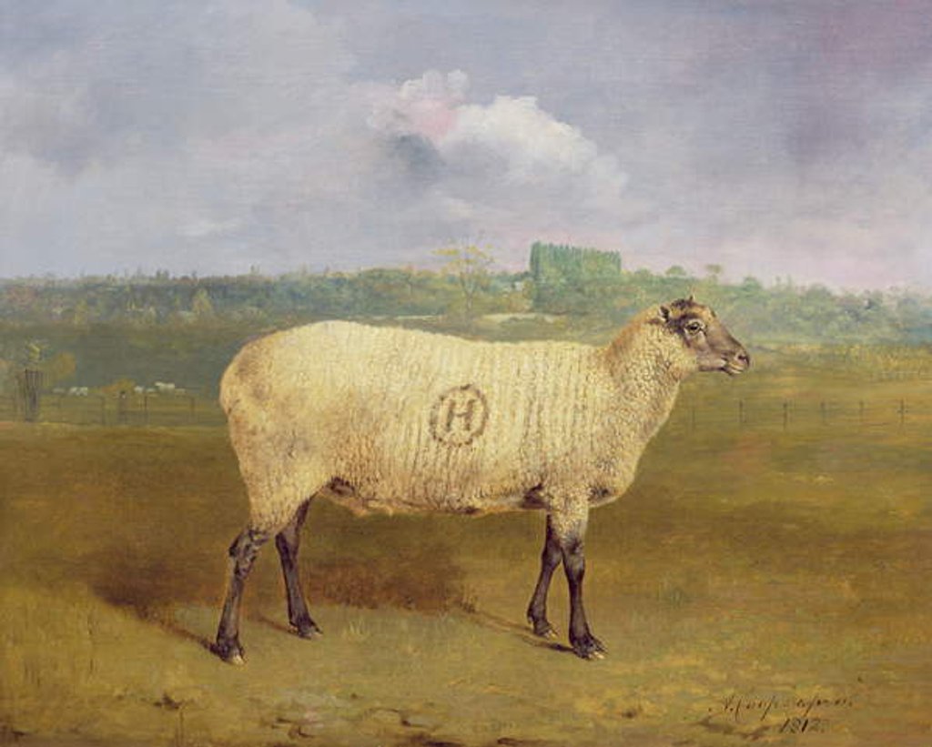 Detail of A Prize Ewe with monogram 'H', belonging to Mr J.A. Houblon, Hallingbury Place, Essex, 1812 by Abraham Cooper