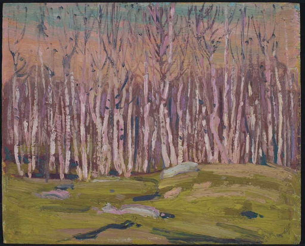 Detail of Silver Birches, c.1915 by Thomas John Thomson
