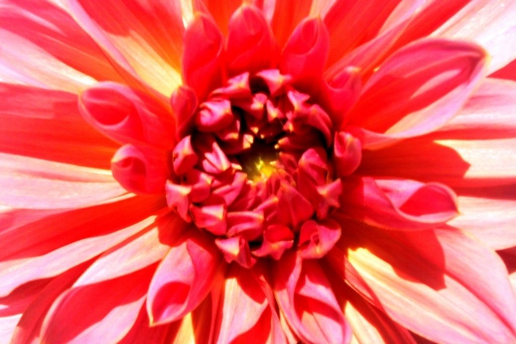 Detail of Total Victory by Sarah O'Toole