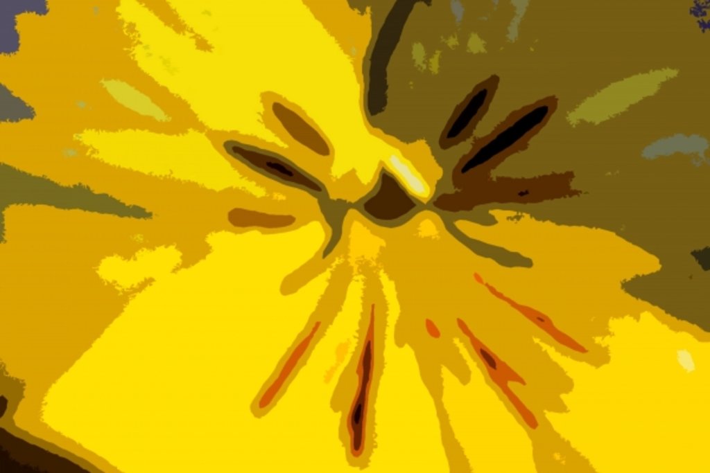 Detail of Urban Bloom by Sarah O'Toole