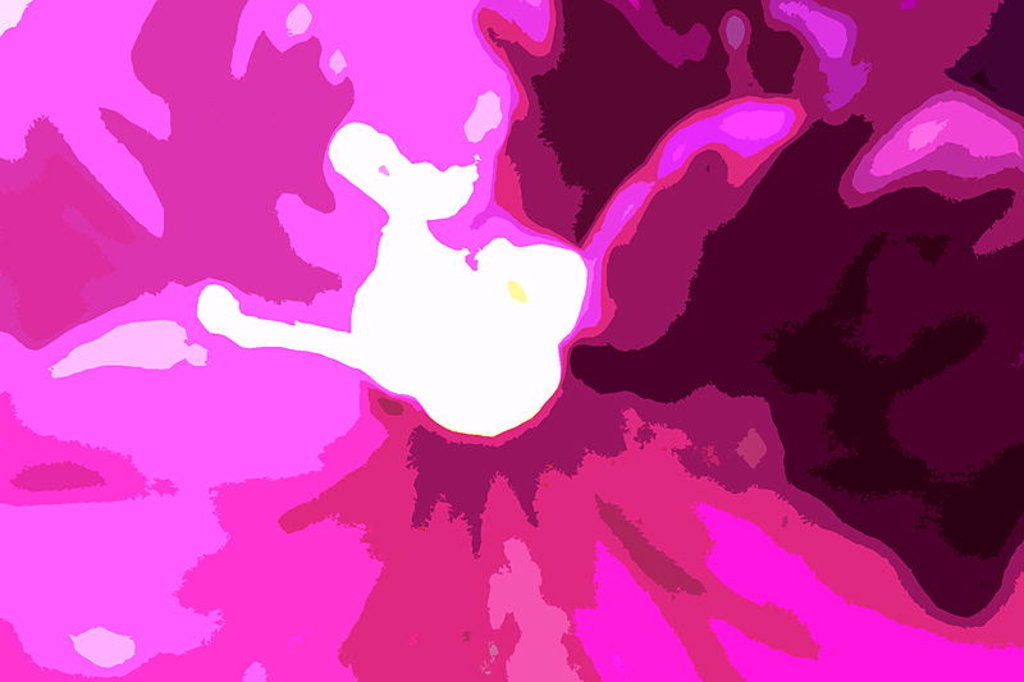 Detail of Raspberry Crush by Sarah O'Toole