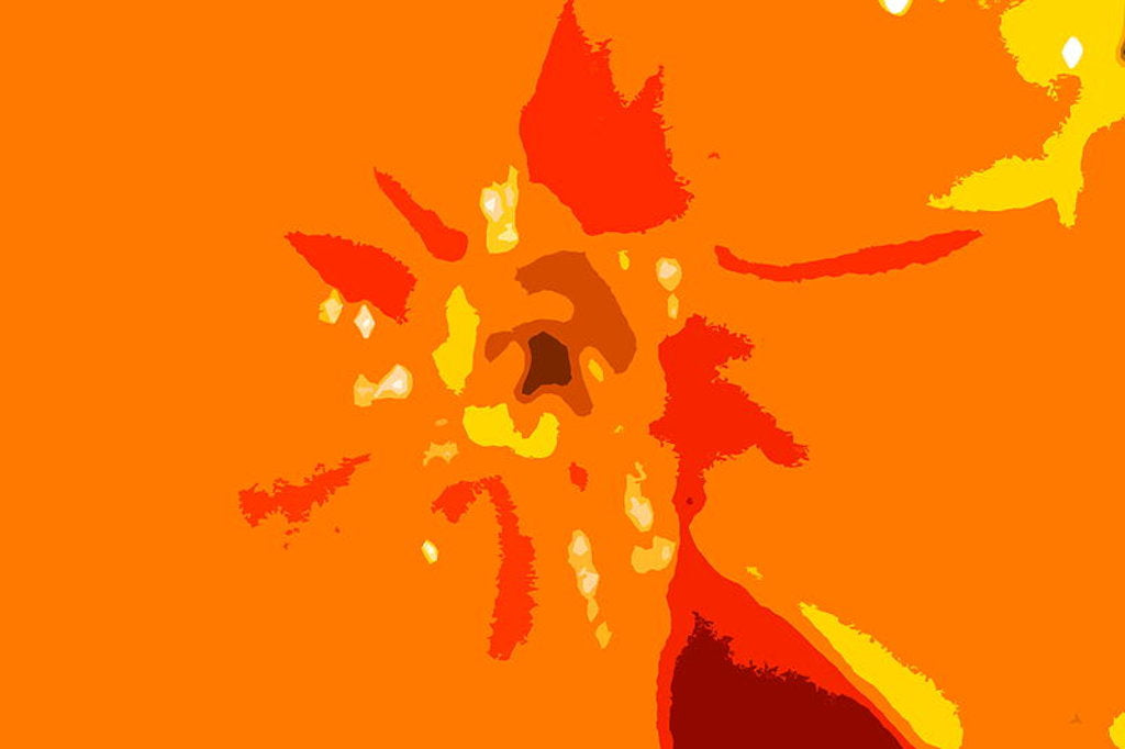 Detail of Sunshine Camouflage by Sarah O'Toole