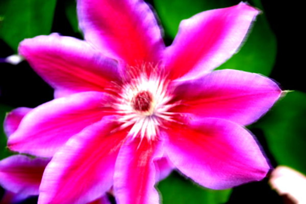 Detail of Winds of Change by Sarah O'Toole