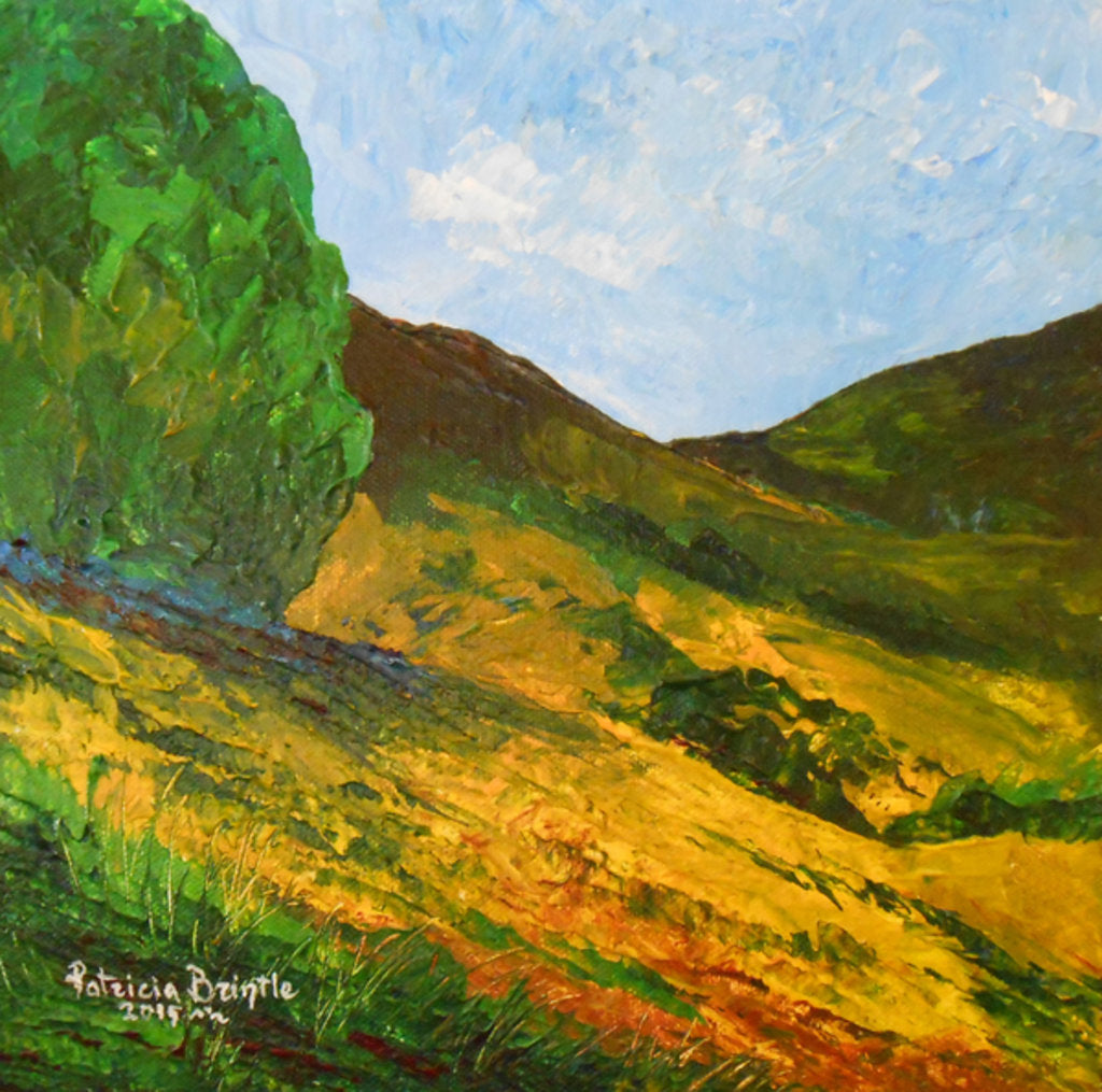 Detail of Morne La Selle, 2015 by Patricia Brintle