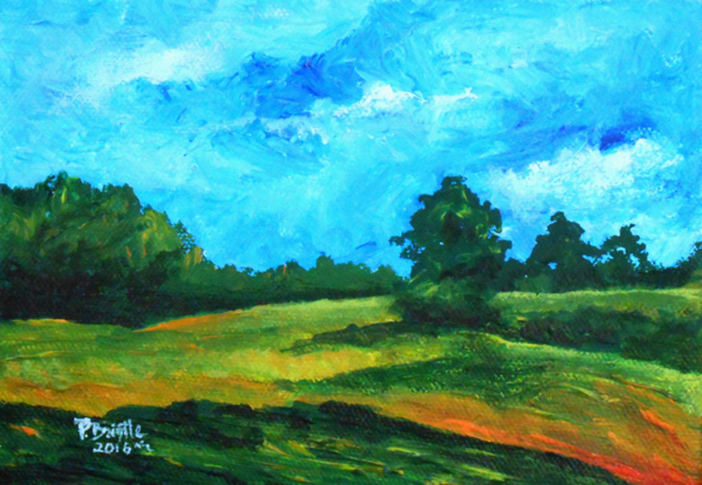 Detail of Simple surroundings, 2016 by Patricia Brintle