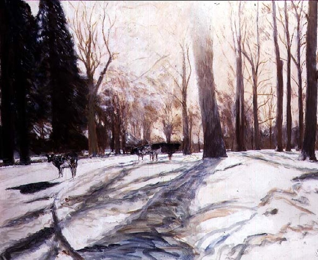 Detail of Snow at Broadlands by Paul Stewart