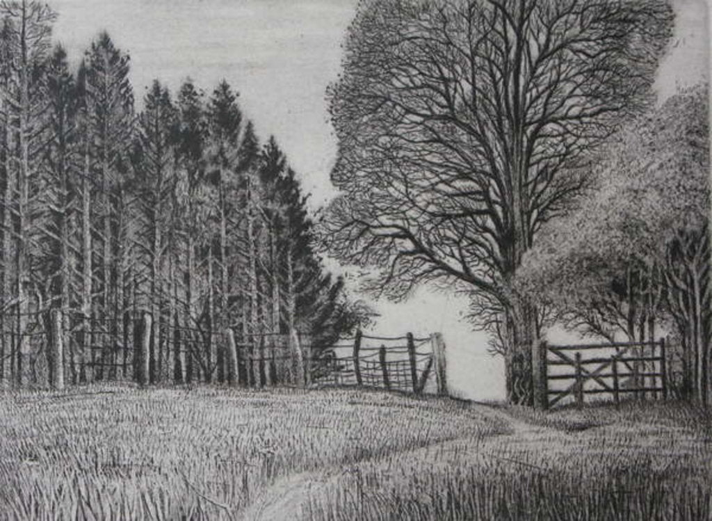 Detail of The Forest Path - Spring by Peter A Ford