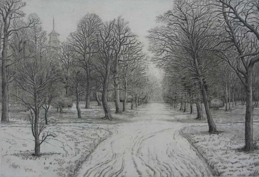 Detail of Kew Gardens in Winter by Peter A Ford