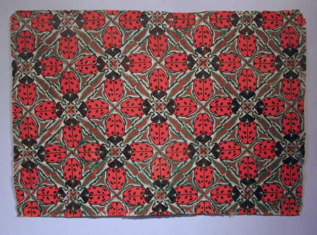 Detail of Insect Pattern - Ladybird by Peter A Ford