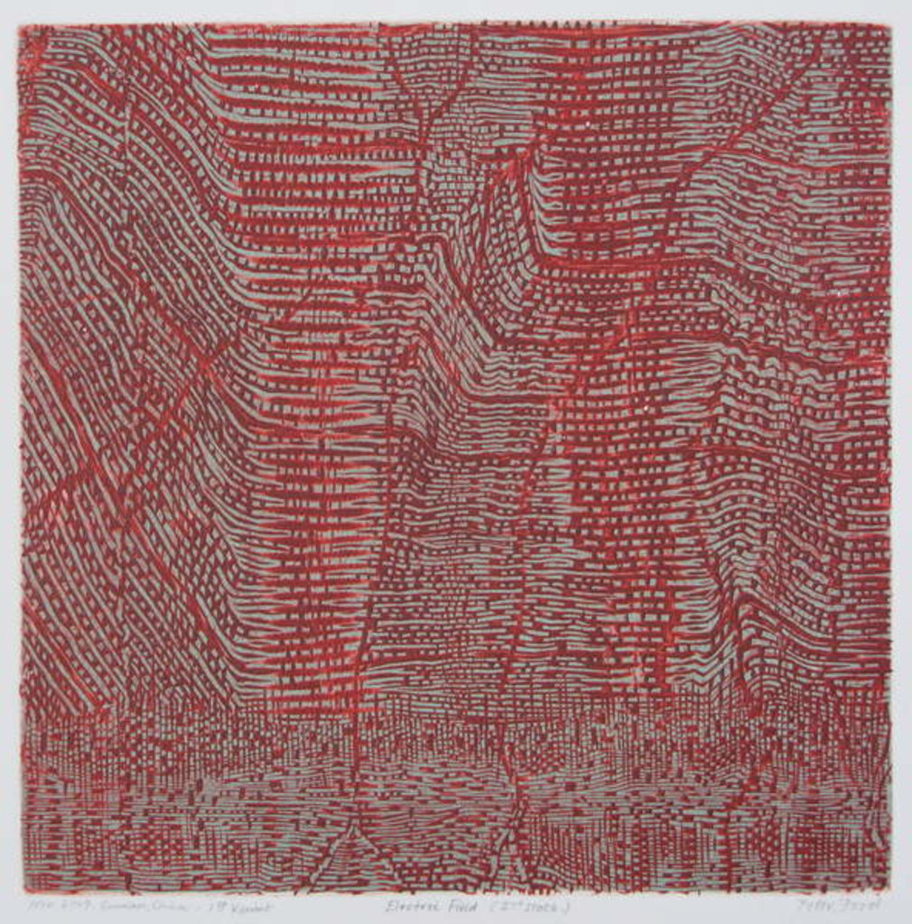 Detail of Electric Field 1 by Peter A Ford