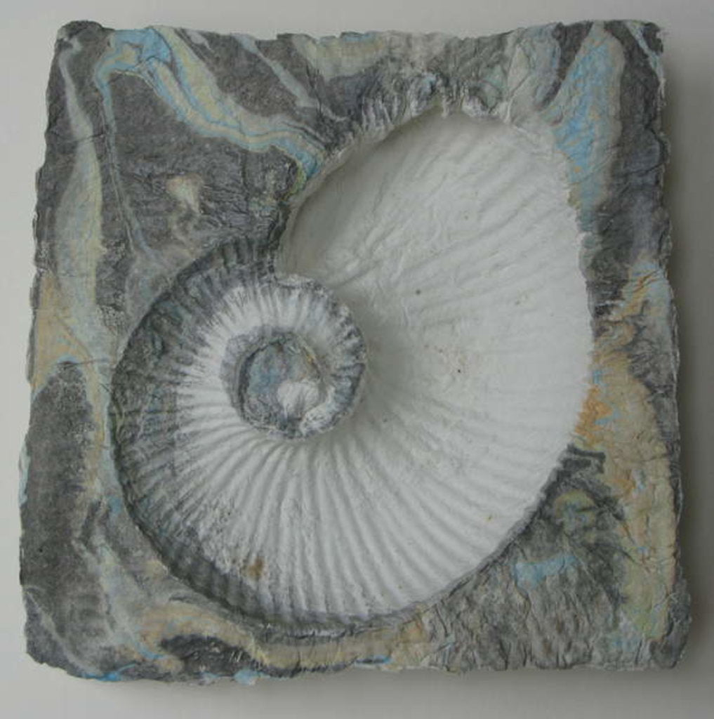 Detail of Helix 1 by Peter A Ford