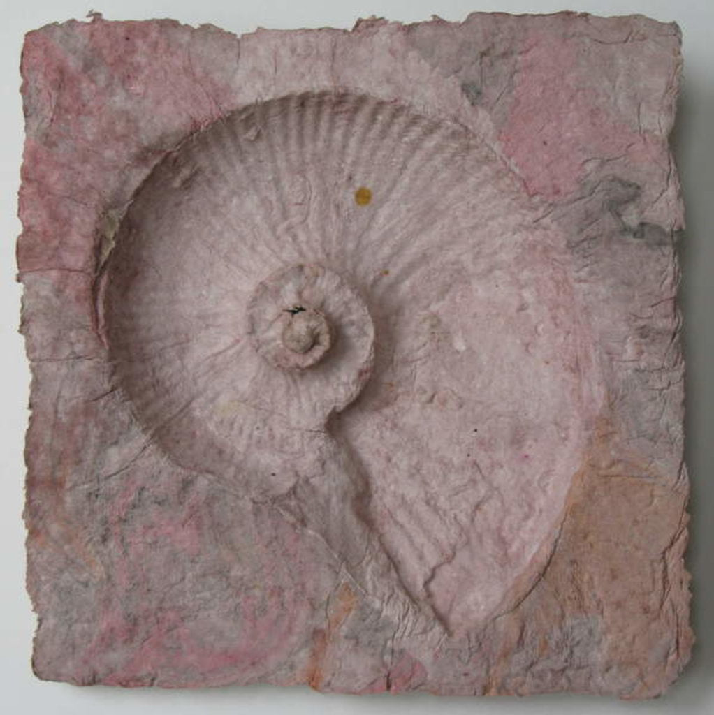 Detail of Helix 3 by Peter A Ford