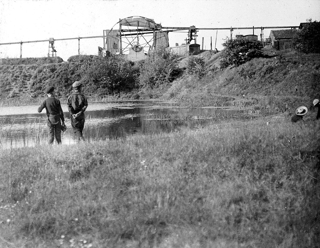 Detail of Machinery by Archibald Knox