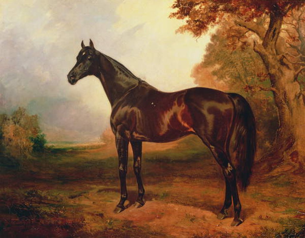 Detail of St. Simon, 1906 by James Lynwood Palmer