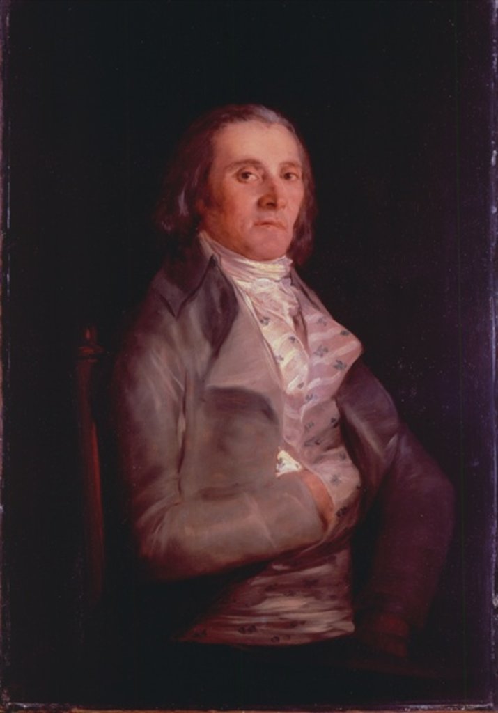 Detail of Don Andres del Peral, 1797-8 by Francisco Jose de Goya y Lucientes