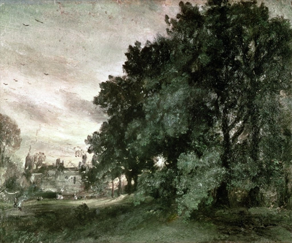 Detail of Study of Trees by John Constable