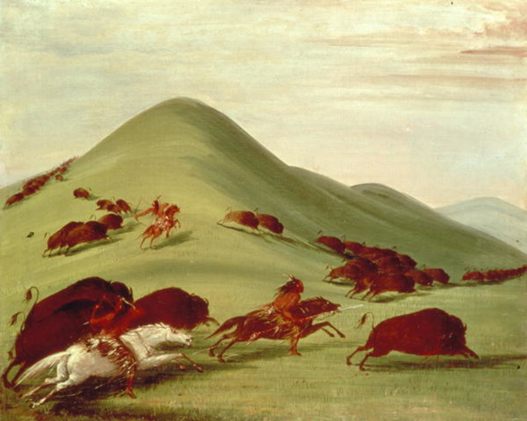 Detail of The Buffalo Hunt by George Catlin