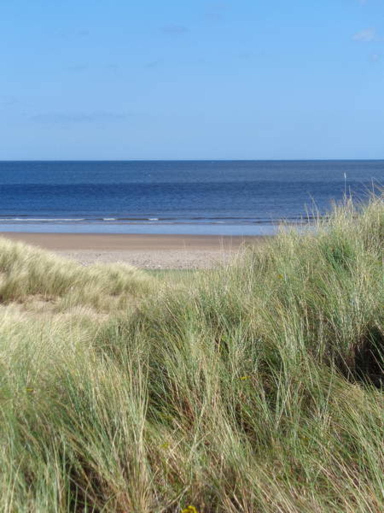 Detail of DURHAM COAST No.1, 2015 (photography} by Peter McClure