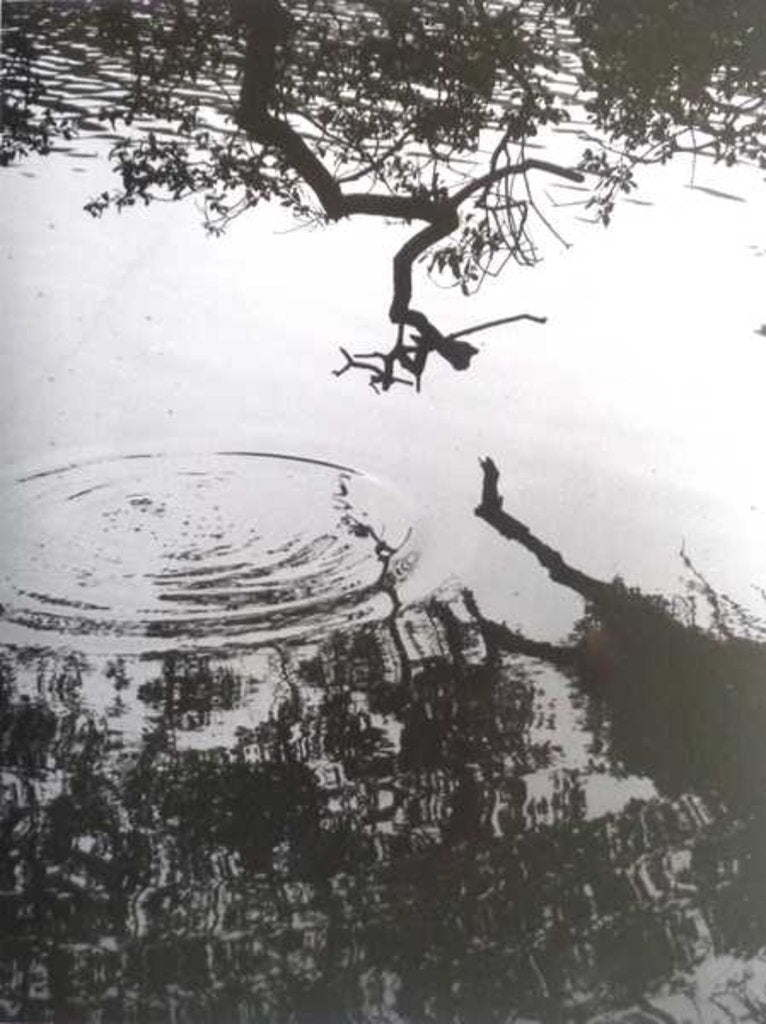 Detail of VINTAGE B&W PHOTO No.5, 1986 by Peter McClure