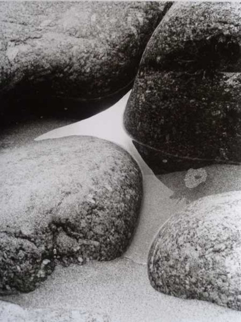 Detail of VINTAGE B&W PHOTO No.9, 1987 by Peter McClure