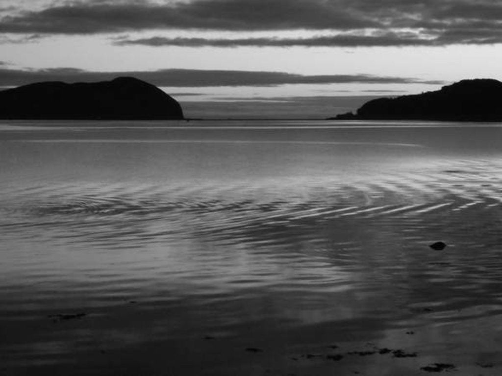 Detail of KINTYRE... PLUS.2, 2017 by Peter McClure