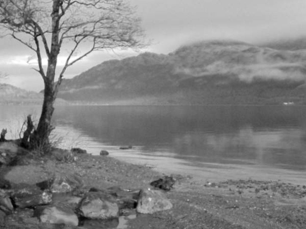 Detail of KINTYRE... PLUS.14, 2017 by Peter McClure