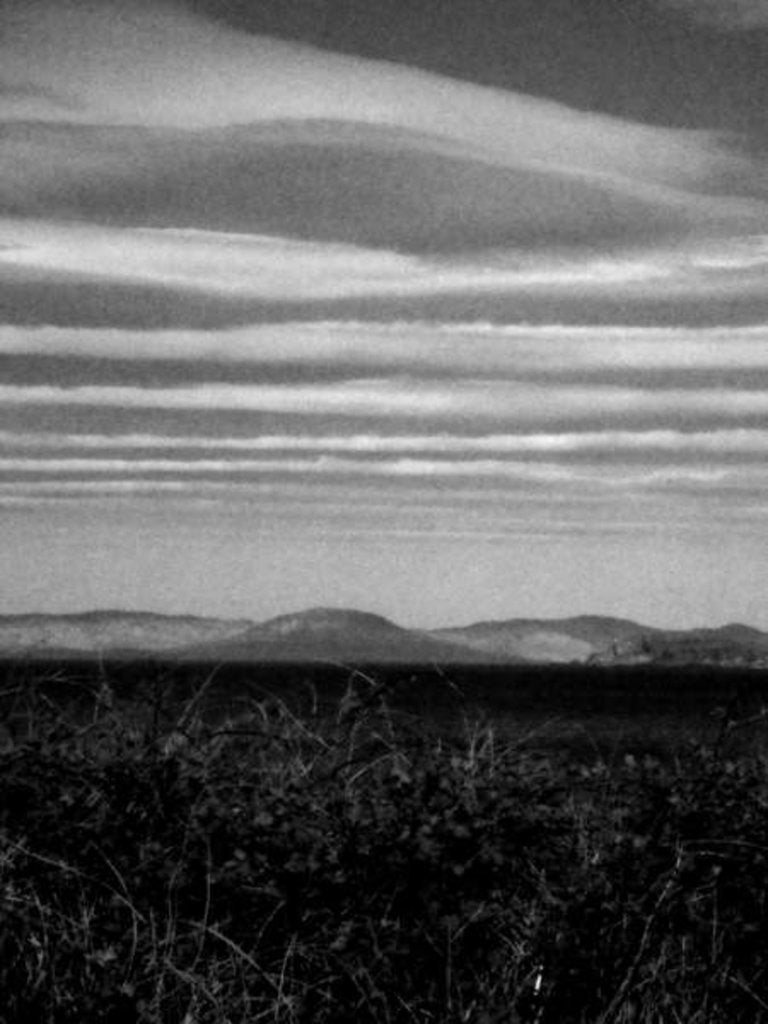 Detail of KINTYRE... PLUS. 16, 2017 by Peter McClure