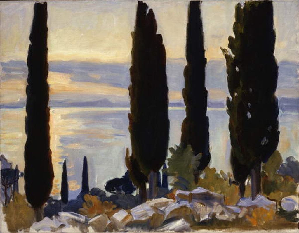 Detail of Cypress Trees at San Vigilio, 1913 by John Singer Sargent