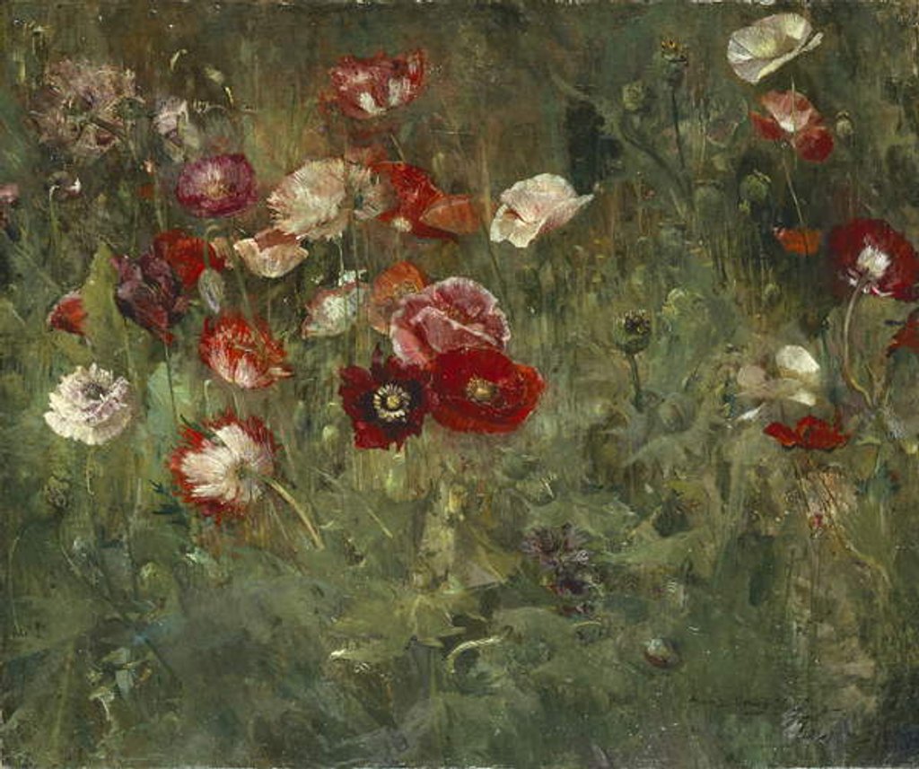 Detail of A Bed of Poppies, 1909 by Maria Oakey Dewing