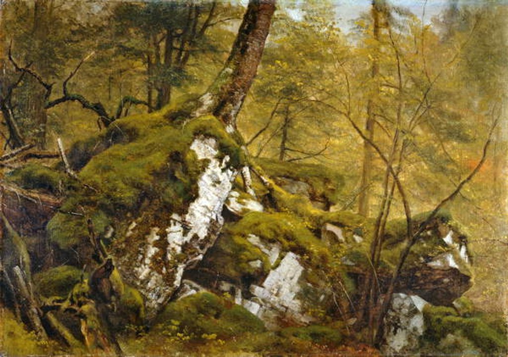 Detail of Study of a Wood Interior, c.1855 by Asher Brown Durand