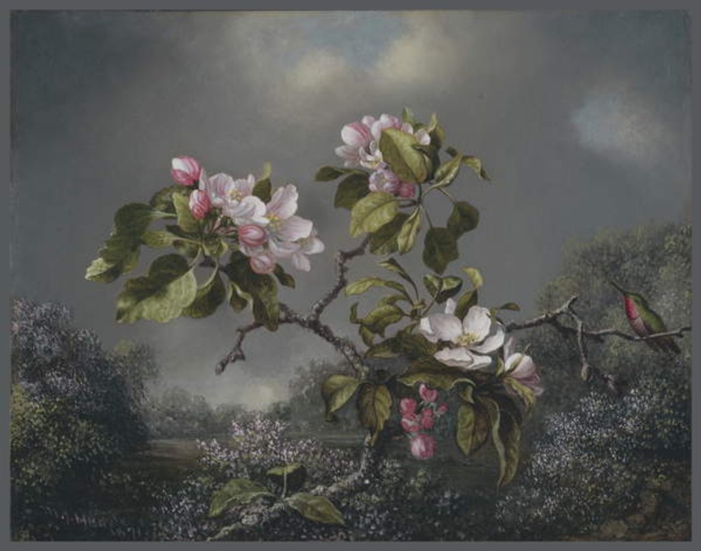 Detail of Apple Blossoms and Hummingbird, 1871 by Martin Johnson Heade