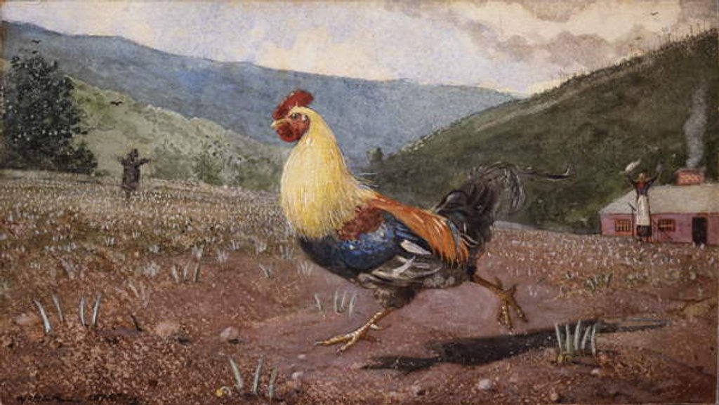Detail of The Rooster, 1876 by Winslow Homer