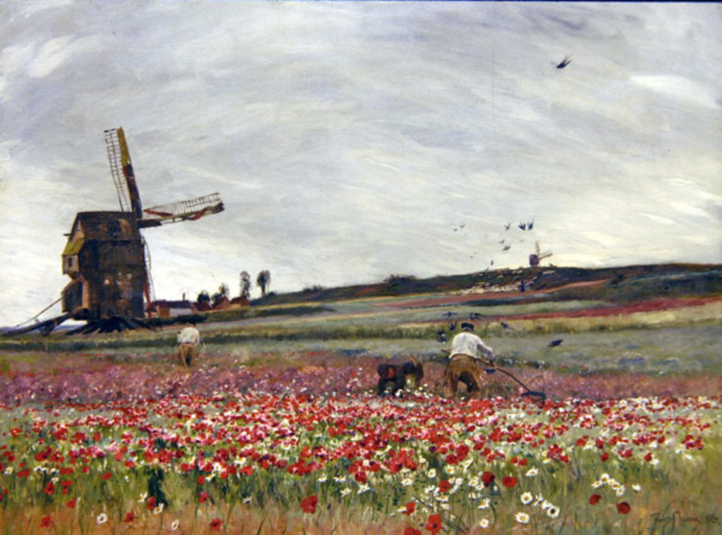 Detail of Poppy Field, 1886 by David Murray