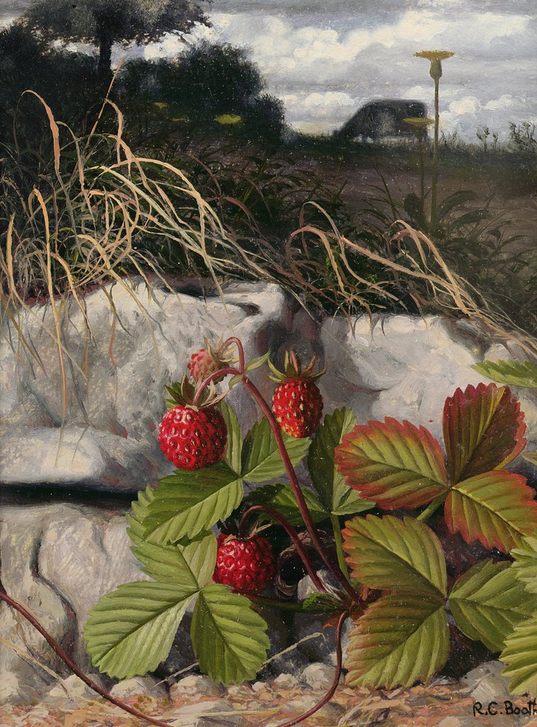 Detail of Strawberries by Raymond Booth